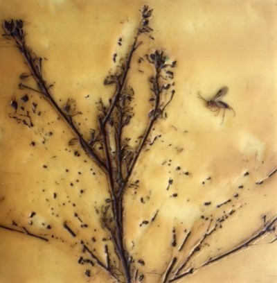 SOLD 'Summertime' Encaustic Bees Wax on cradled birchwood panel 20 x 20 cm  $65